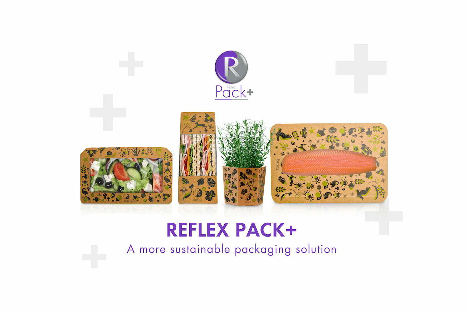 The Launch of Reflex Pack Plus